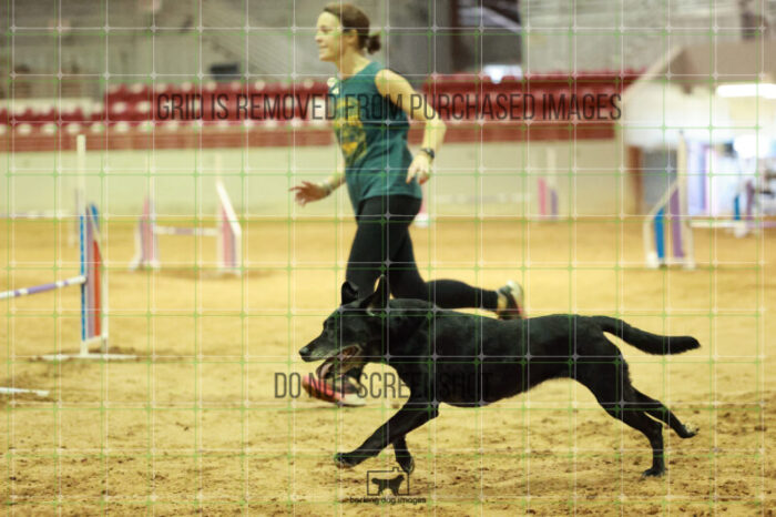 Kiwi_Kankash_Wednesday_Speedstakes_Semi_Final_199_RR_3887