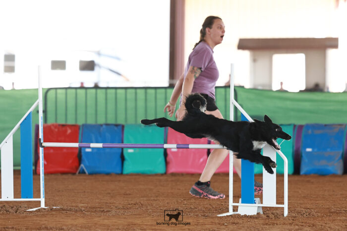 Charm_Vandyke_Ring_5_Saturday_WTAJumping_292_JC_5828