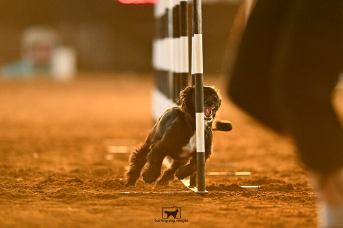 DynaMight_Laufenberg_NationalsRound1_318_KG_8583