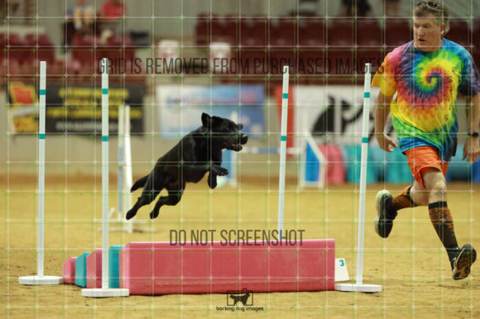 Mojave_Almasy_Friday_MastersAgilityFinal_259_RR_1261
