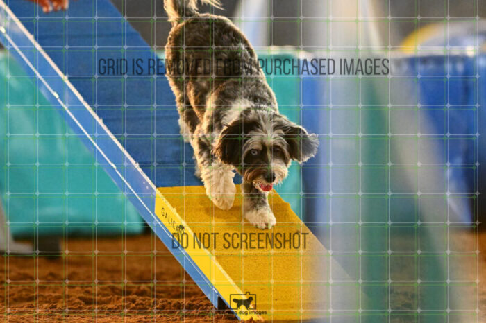 Moki_Tucker_NationalsRound1_320_KG_8737