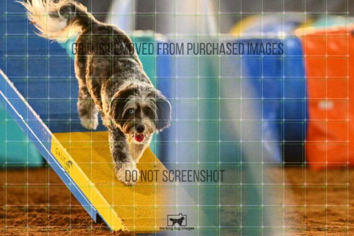 Moki_Tucker_NationalsRound1_320_KG_8739