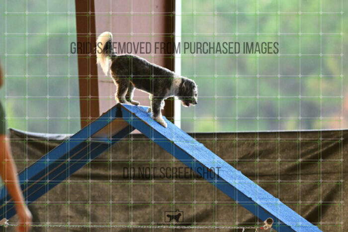 Moki_Tucker_NationalsRound1_320_KG_8757