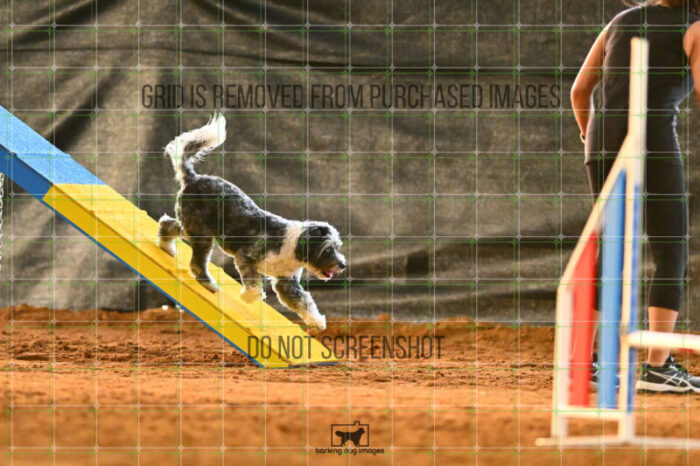 Moki_Tucker_NationalsRound1_320_KG_8769