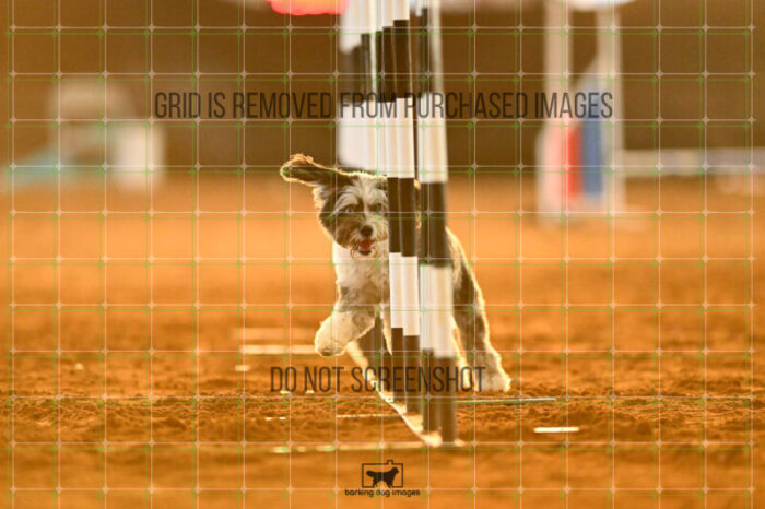 Moki_Tucker_NationalsRound1_320_KG_8798