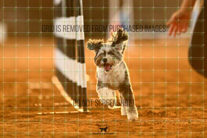Moki_Tucker_NationalsRound1_320_KG_8816