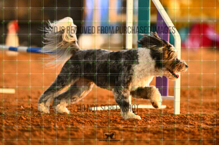 Moki_Tucker_NationalsRound1_320_KG_8830