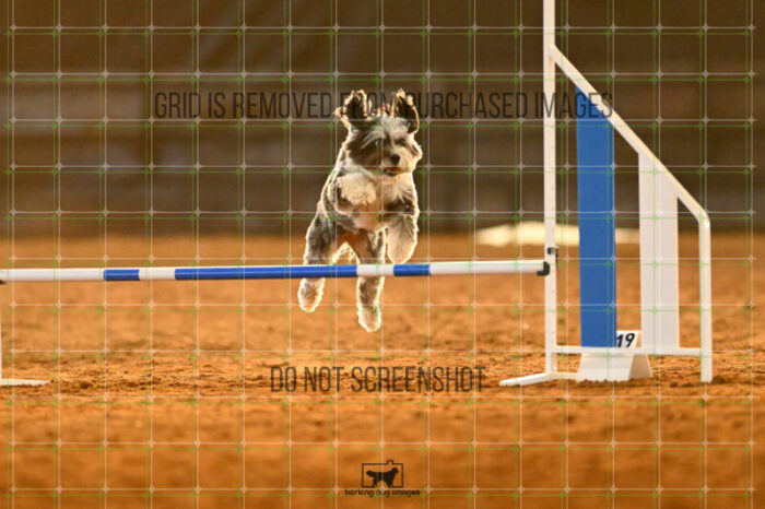 Moki_Tucker_NationalsRound1_320_KG_8849