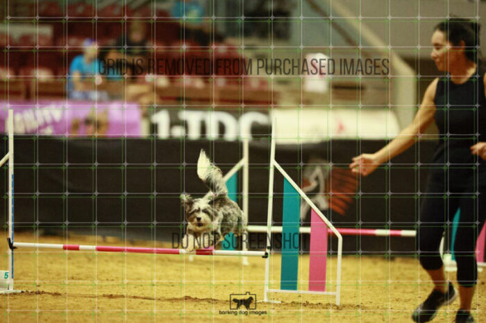 Moki_Tucker_Ring_3_Wednesday_Speedstakes_Semi_Final_331_VW_7655
