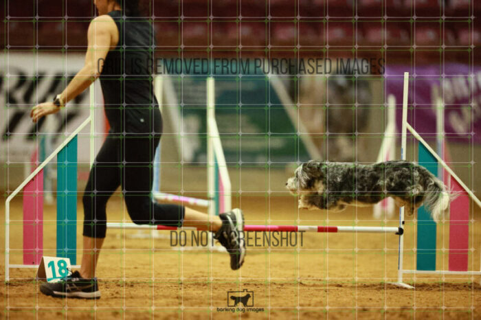 Moki_Tucker_Ring_3_Wednesday_Speedstakes_Semi_Final_331_VW_7670