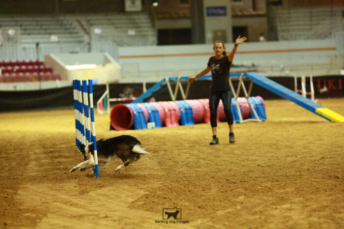 Hallelujah_Ajoux_Saturday_BiathlonAgilityFinals_223_KO_9709