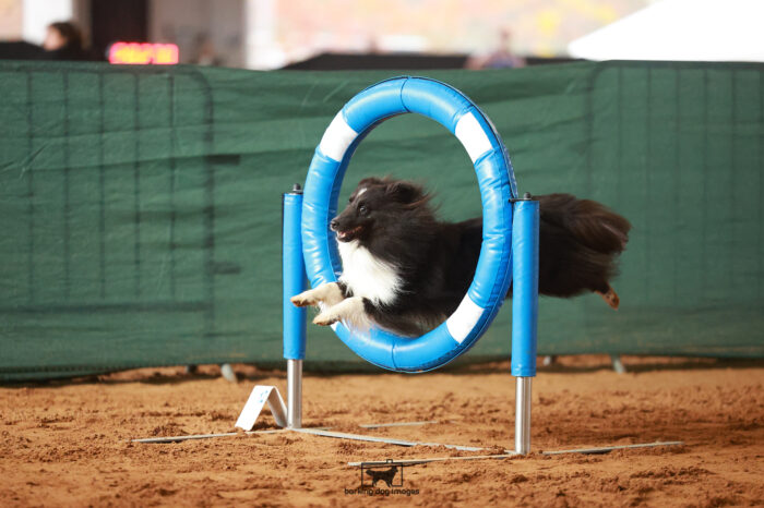 Kaladin_Heller_Sunday_Challenger_113_RR_7194