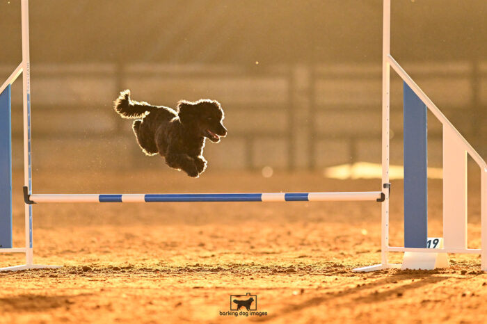 Leo_Coderre_NationalsRound1_304_KG_6542