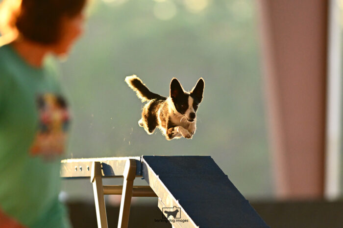 Pesto_Bond_NationalsRound1_312_KG_7723