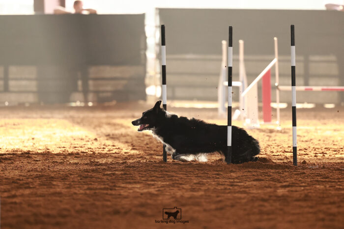 Solo_Cameron_Sunday_Challenger_146_JC_0811