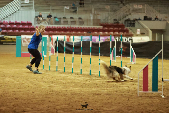 Swindle_Beasley_Friday_MastersAgilityFinal_323_RR_3974