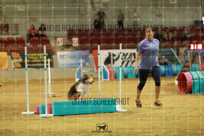Monty_Rosenberger_Friday_MastersAgilityFinal_171_RR_6828