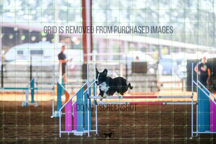 Morrigan_Pryse_Biathlon_Jumping_Wednesday_162_LB_1728