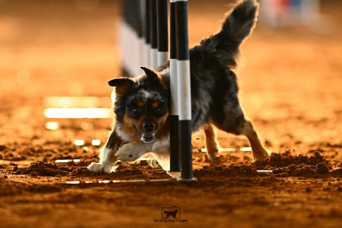 Witcher_Imhof_NationalsRound1_299_KG_5888