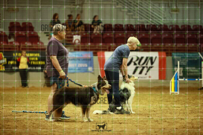 USO_Sun_TeamRelay_25112311_LB1616