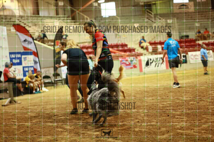 USO_Sun_TeamRelay_25112310_LB0838