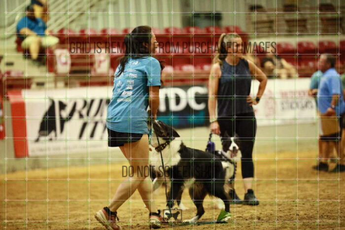 USO_Sun_TeamRelay_25112311_LB1468