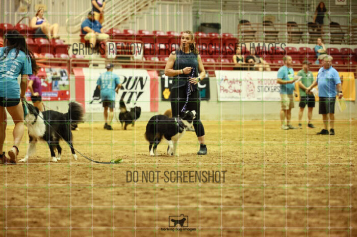 USO_Sun_TeamRelay_25112311_LB1477