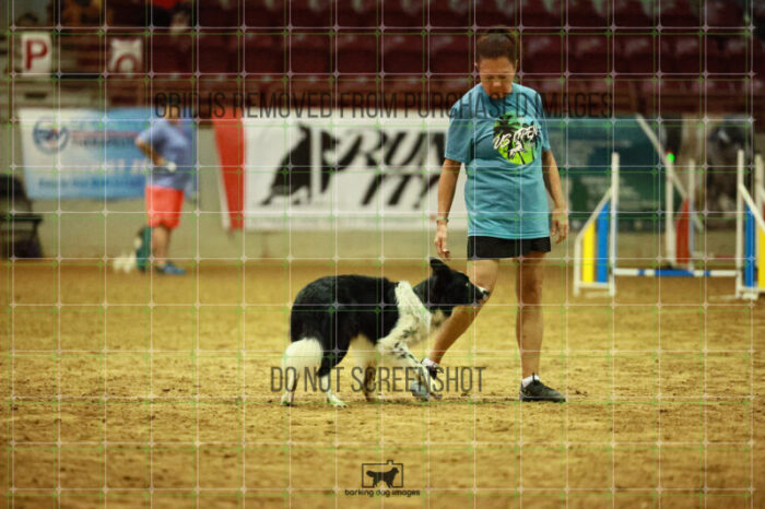 USO_Sun_TeamRelay_25112310_LB0073