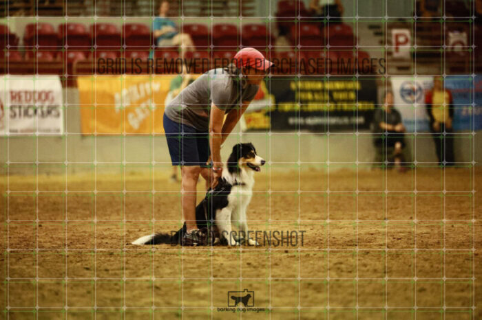 USO_Sun_TeamRelay_25112310_LB0549