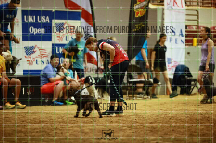 USO_Sun_TeamRelay_25112310_LB0573