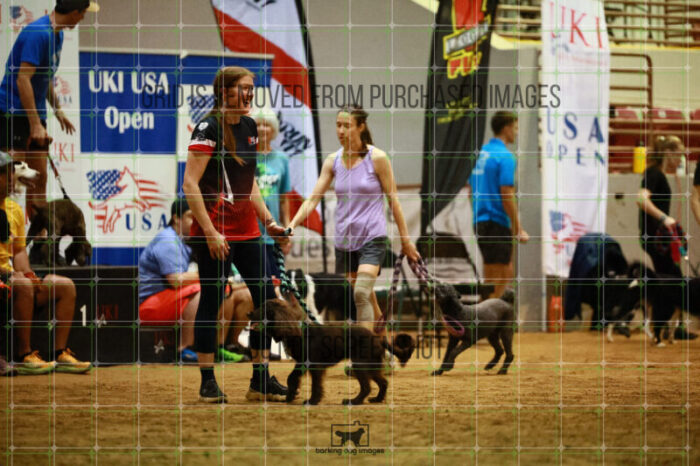 USO_Sun_TeamRelay_25112310_LB0577