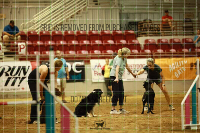 USO_Sun_TeamRelay_25112310_LB0976