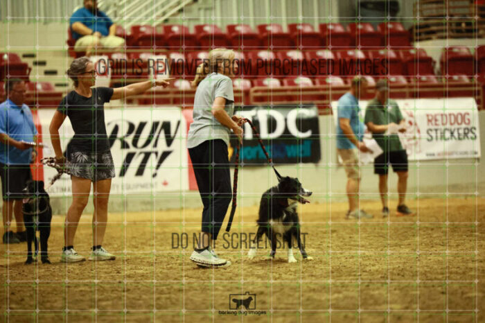 USO_Sun_TeamRelay_25112310_LB1022
