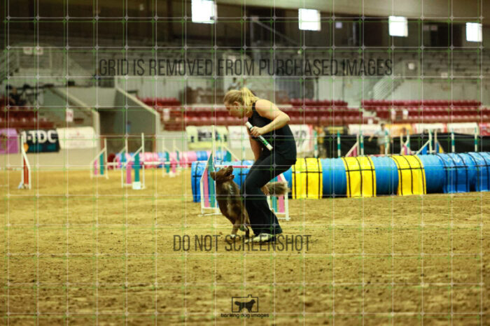 USO_Sun_TeamRelay_25112310_LB1038