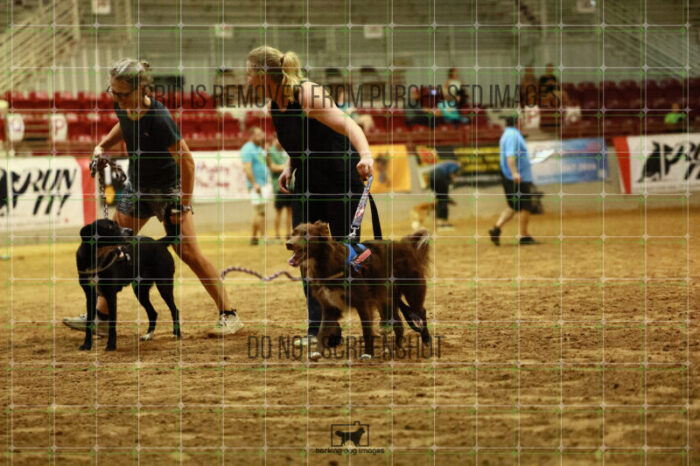 USO_Sun_TeamRelay_25112310_LB1065