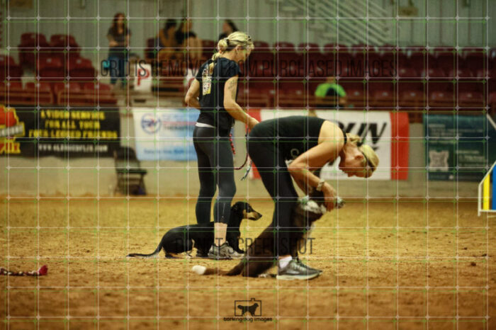 USO_Sun_TeamRelay_25112311_LB1726