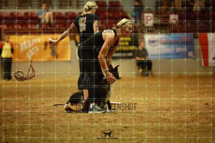 USO_Sun_TeamRelay_25112311_LB1746