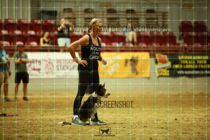 USO_Sun_TeamRelay_25112311_LB1774