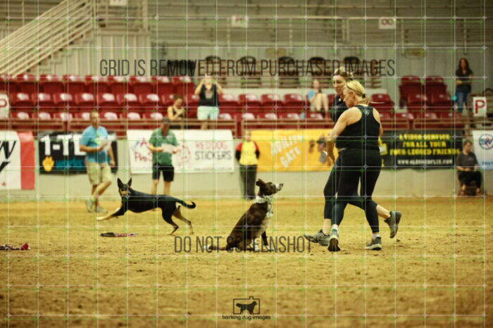 USO_Sun_TeamRelay_25112311_LB1779