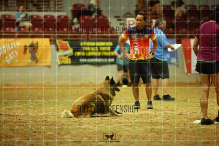 USO_Sun_TeamRelay_25112311_LB1504