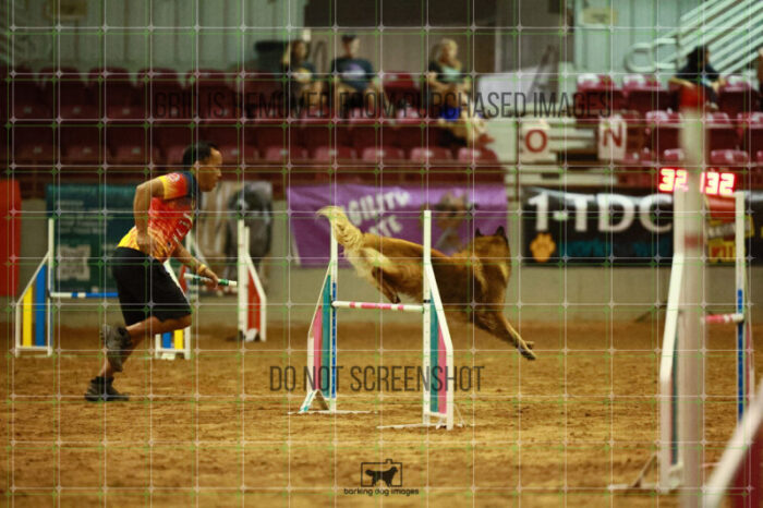 USO_Sun_TeamRelay_25112311_LB1531