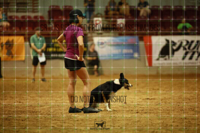 USO_Sun_TeamRelay_25112311_LB1536