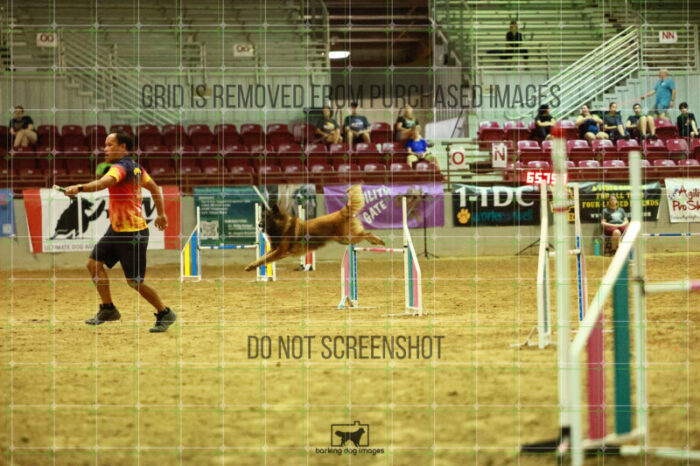 USO_Sun_TeamRelay_25112311_LB1546