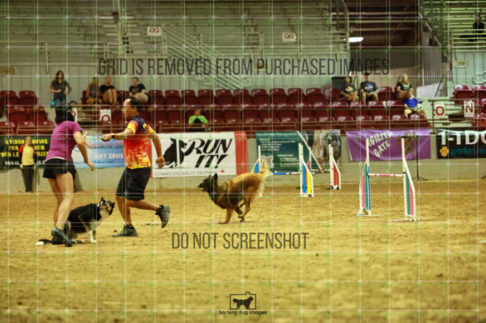 USO_Sun_TeamRelay_25112311_LB1549
