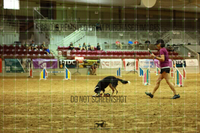 USO_Sun_TeamRelay_25112311_LB1590