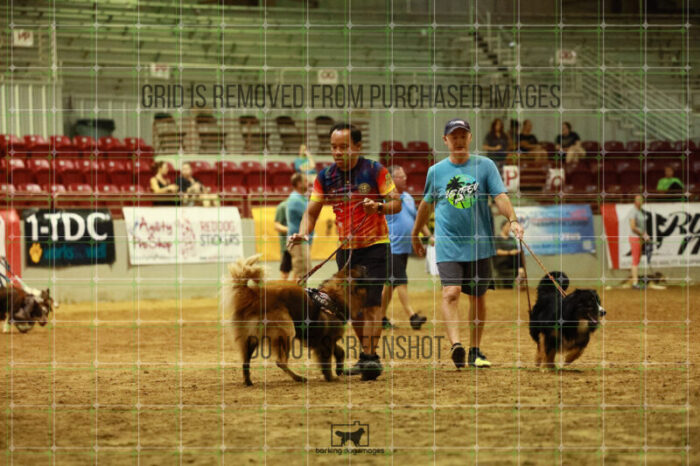 USO_Sun_TeamRelay_25112311_LB1597