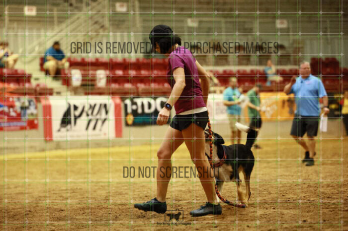 USO_Sun_TeamRelay_25112311_LB1607