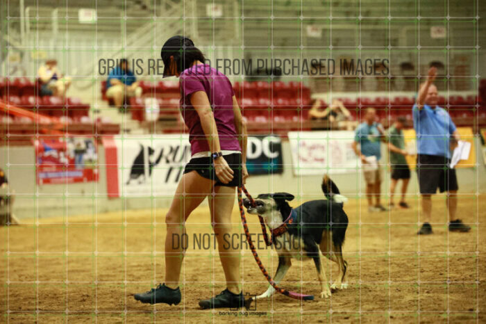 USO_Sun_TeamRelay_25112311_LB1610