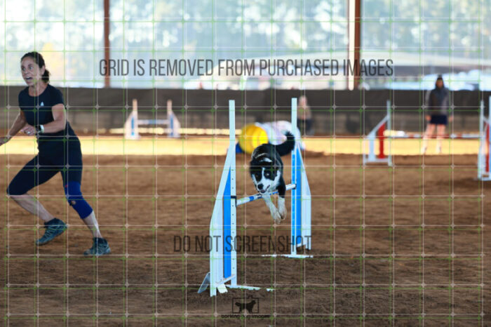 Ursa_Major_Thomas_Thomas_Ring_6_Wednesday_Speedstakes_SemiFinal_124_JC_0772