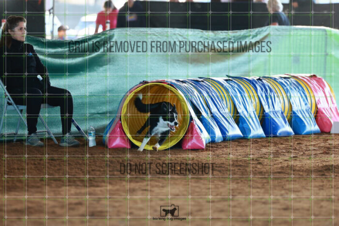 Ursa_Major_Thomas_Thomas_Ring_6_Wednesday_Speedstakes_SemiFinal_124_JC_0777